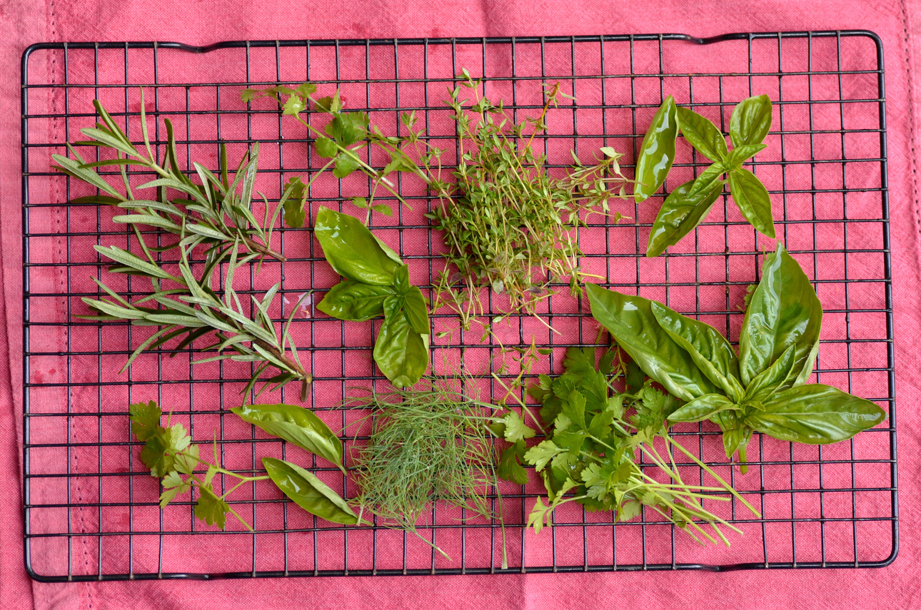 Herbs