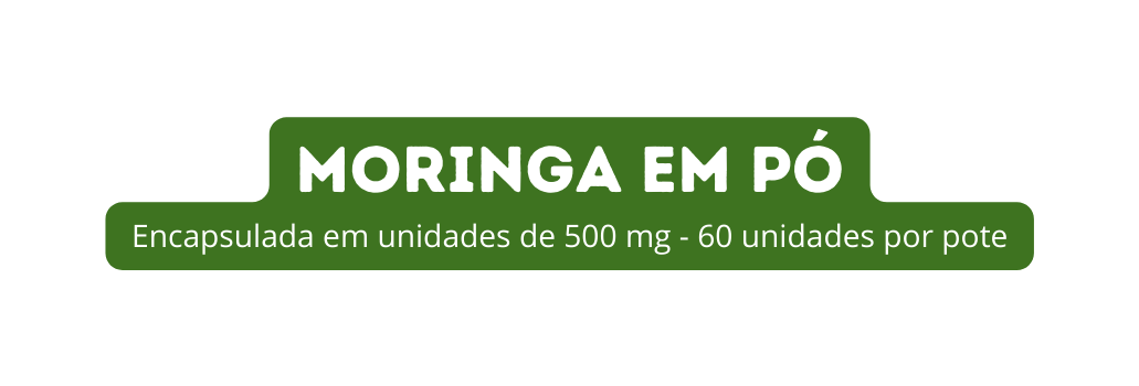 Moringa em pó Encapsulada em unidades de 500 mg 60 unidades por pote