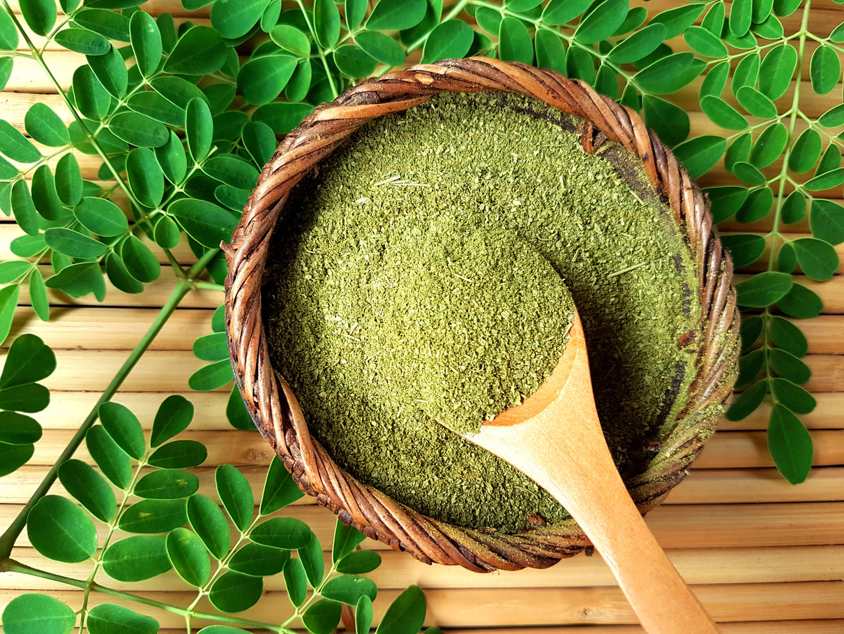 Moringa Powder